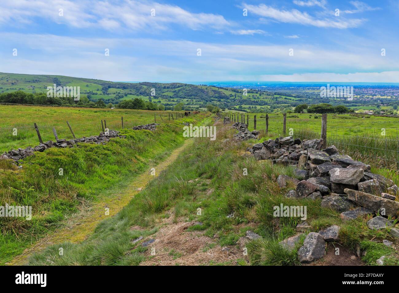 Un sentier entre les murs en pierre sèche de la ferme Haddon, Higher Sutton, Macclesfield, Cheshire, Angleterre, ROYAUME-UNI Banque D'Images