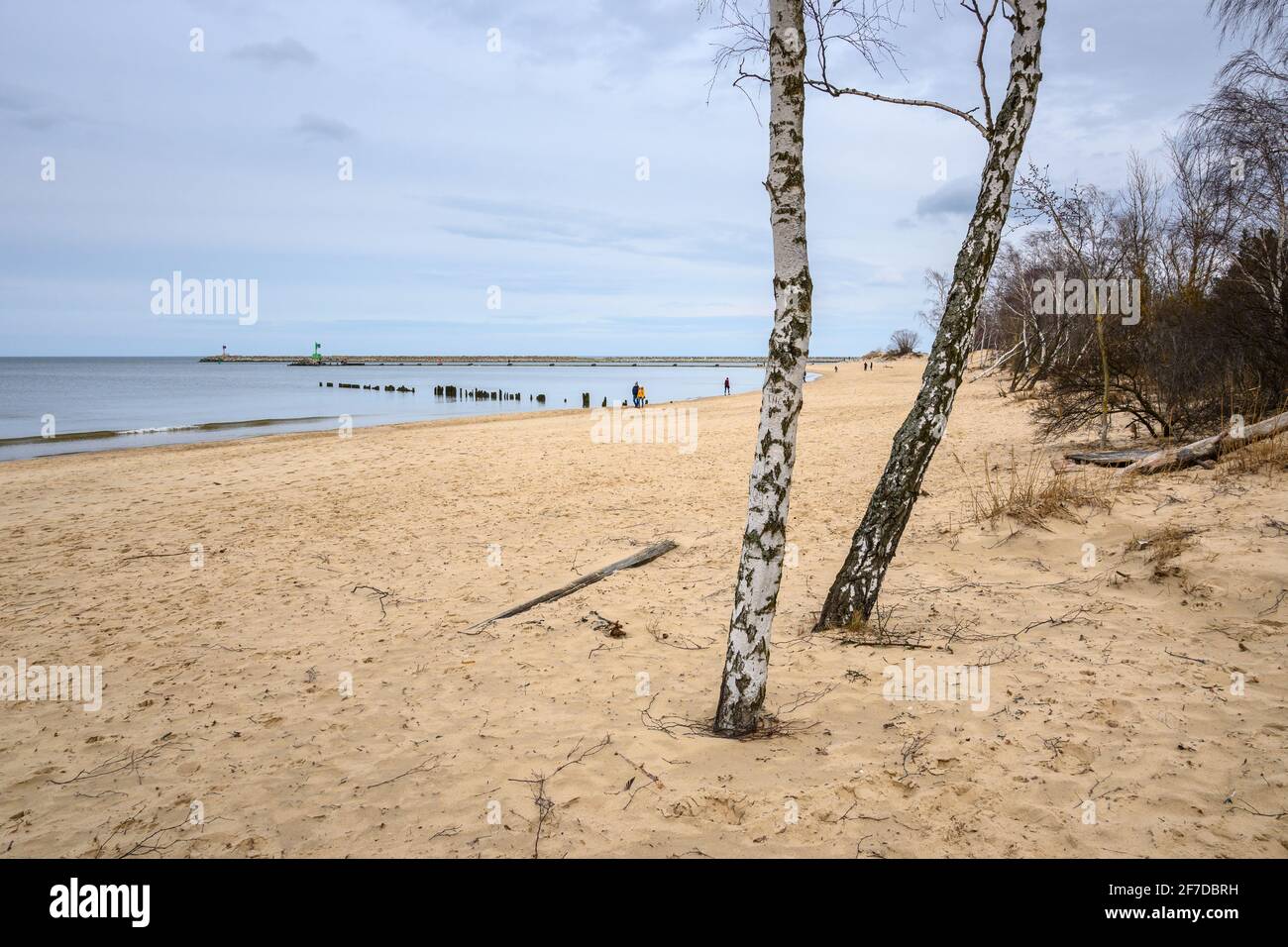 Plage de sable à Gorki Zachodnie sur la mer Baltique. Gdansk, Pologne Banque D'Images