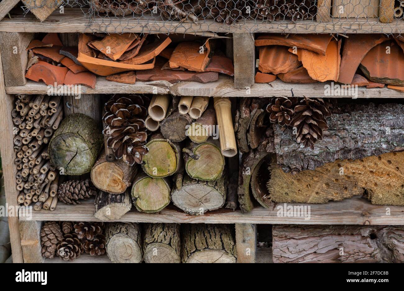 Une maison d'insectes construite pour fournir des maisons pour les insectes et les mini-bêtes. Banque D'Images