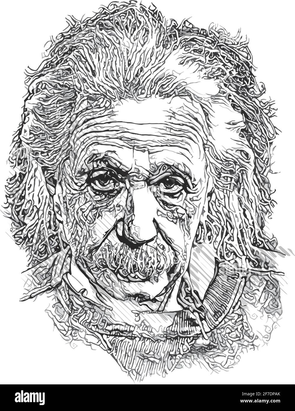 Illustration vectorielle Albert einstein sur fond blanc Illustration de Vecteur