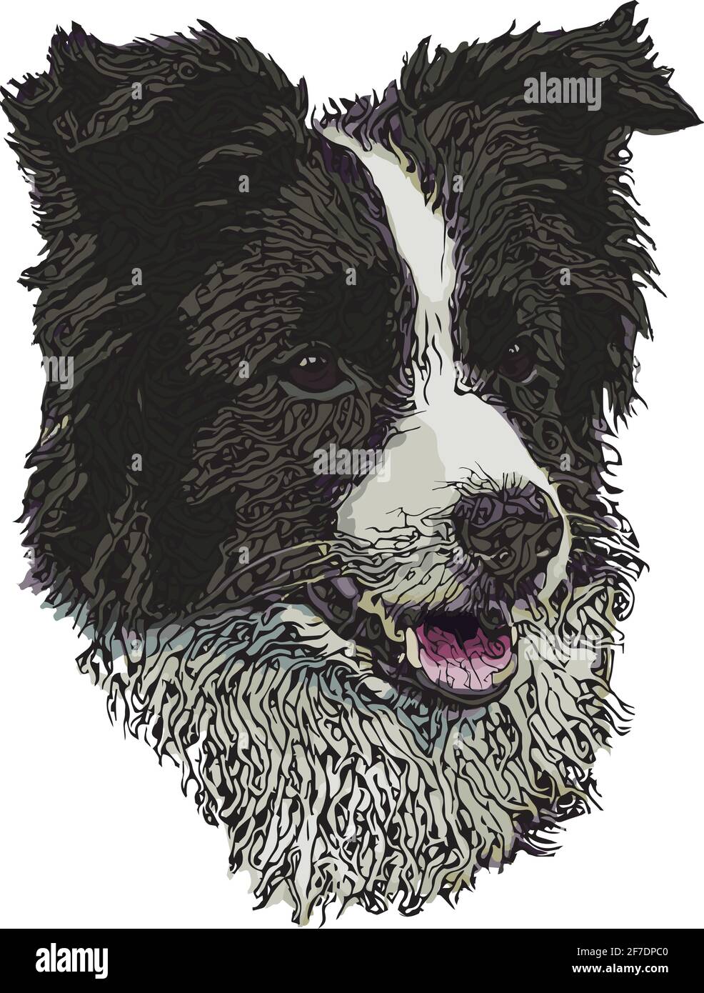 Illustration vectorielle pour chien Collie avec bordure isolée sur fond blanc Illustration de Vecteur