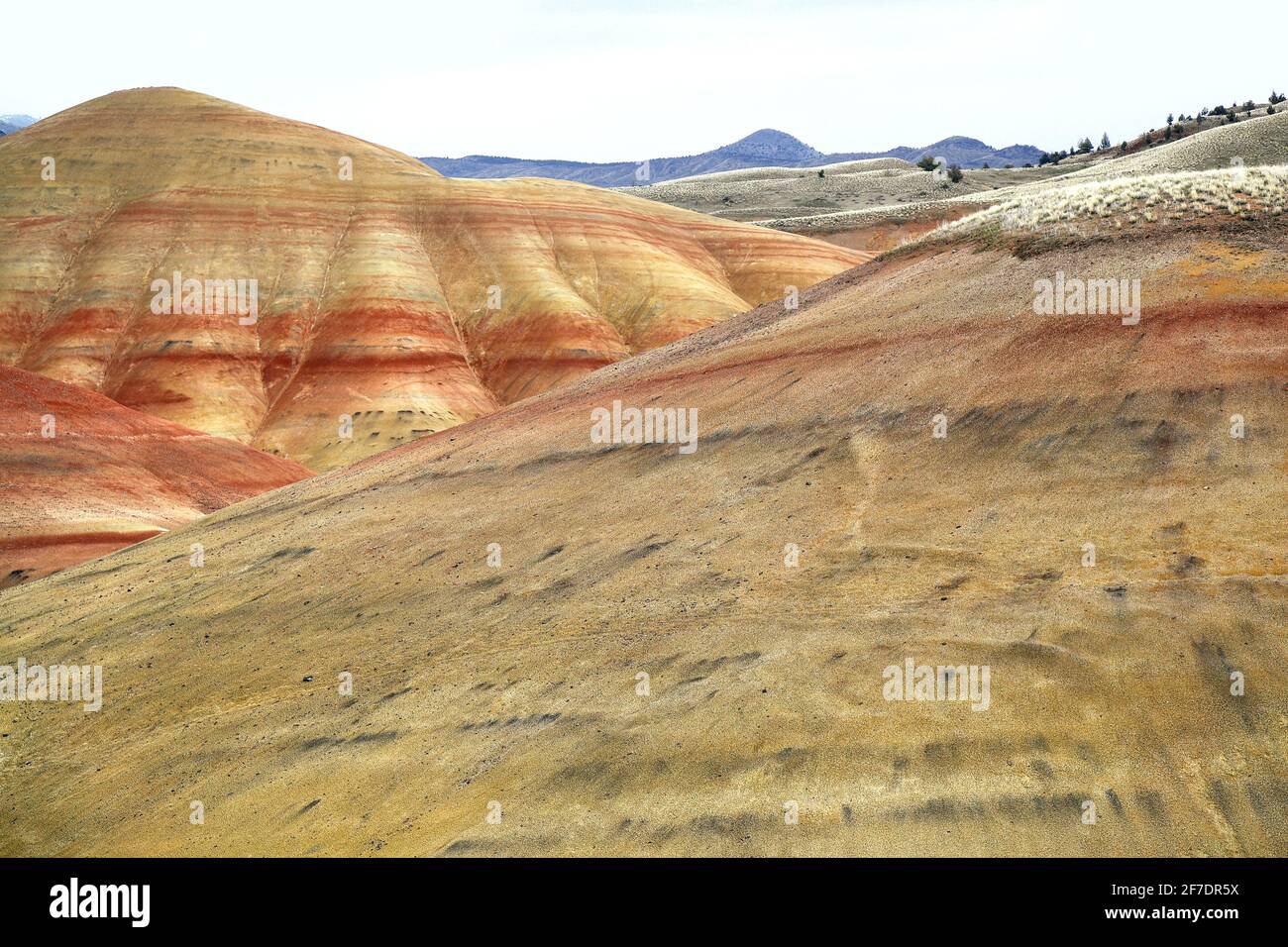 Titre: Painted Hills, un monument géologique naturel, une des merveilles naturelles de l'état de l'Oregon, Etats-Unis Banque D'Images