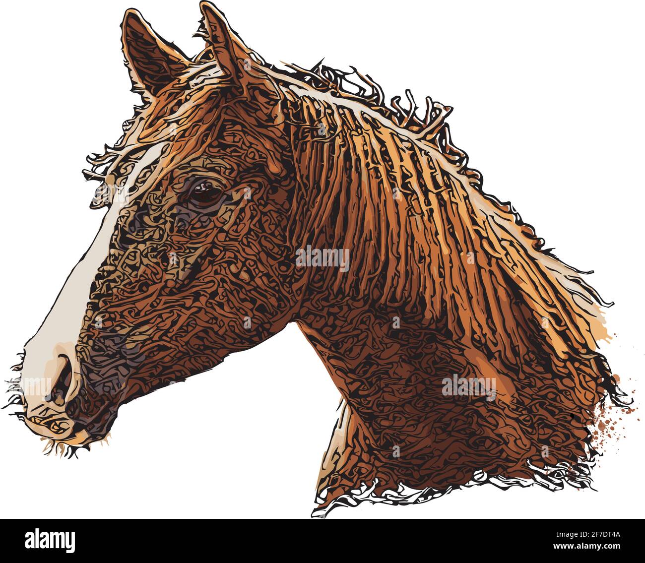 Illustration du vecteur tête de cheval sur fond blanc Illustration de Vecteur