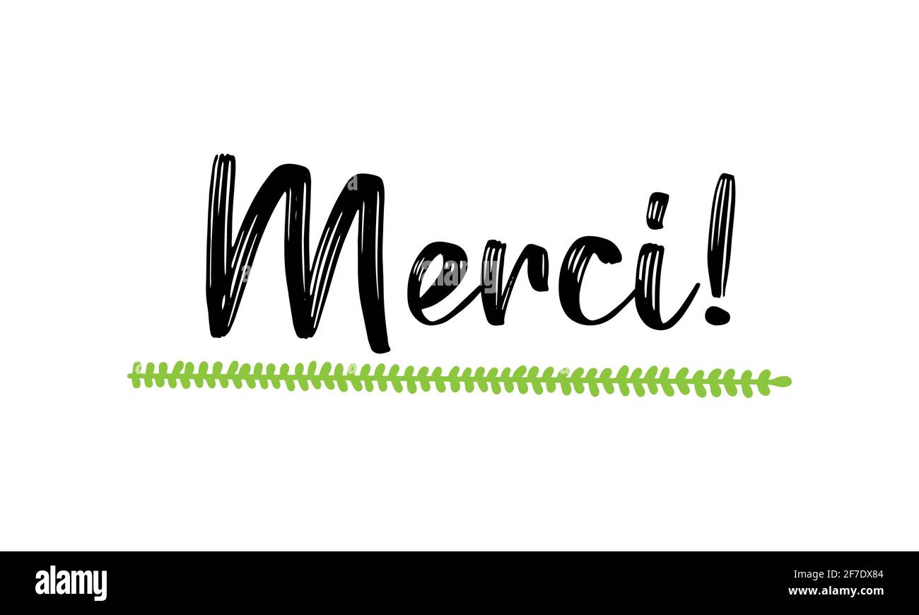 Citation De Merci Esquissee A La Main En Francais Comme Logo Merci Traduit Lettrage Pour Banniere En Tete Carte Affiche Circulaire Image Vectorielle Stock Alamy