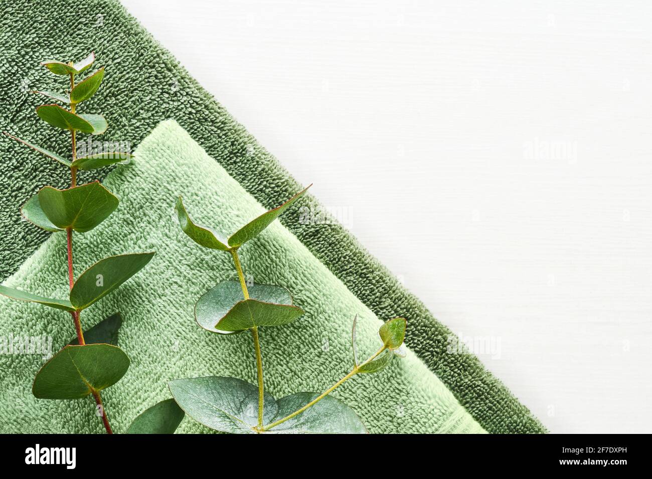Serviettes molletonnées roulées et branche d'eucalyptus vert sur fond blanc. Style scandinave minimaliste. Hygiène, bien-être bien-être, concept de soins du corps. Banque D'Images