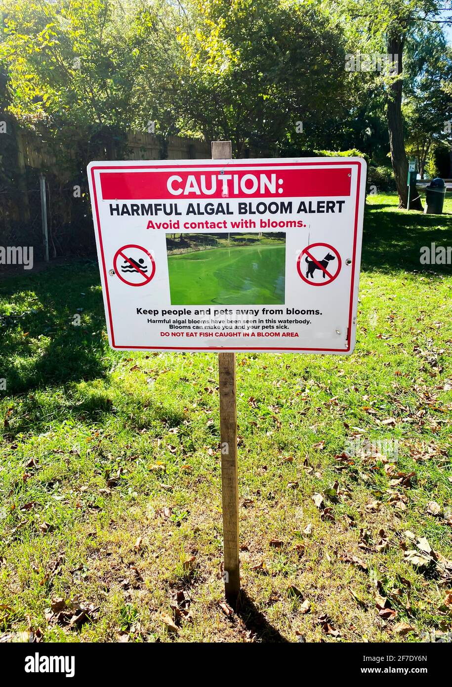 Un panneau informant le public d'une prolifération d'algues nuisibles dans le village de Southards Pond Babylone. Banque D'Images