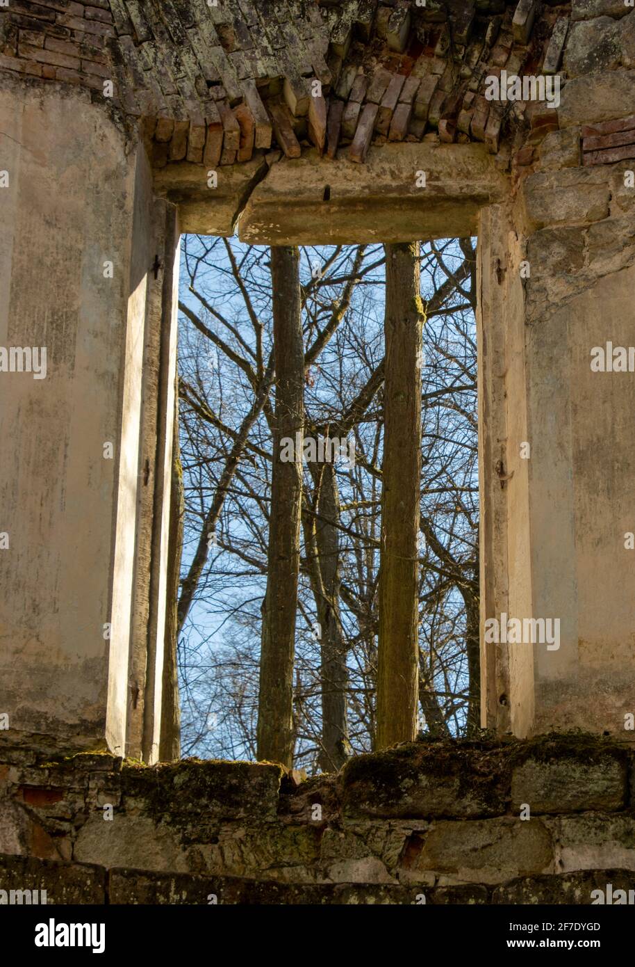 Vue à travers un trou pour fenêtre dans une ruine abandonnée dans les bois Banque D'Images