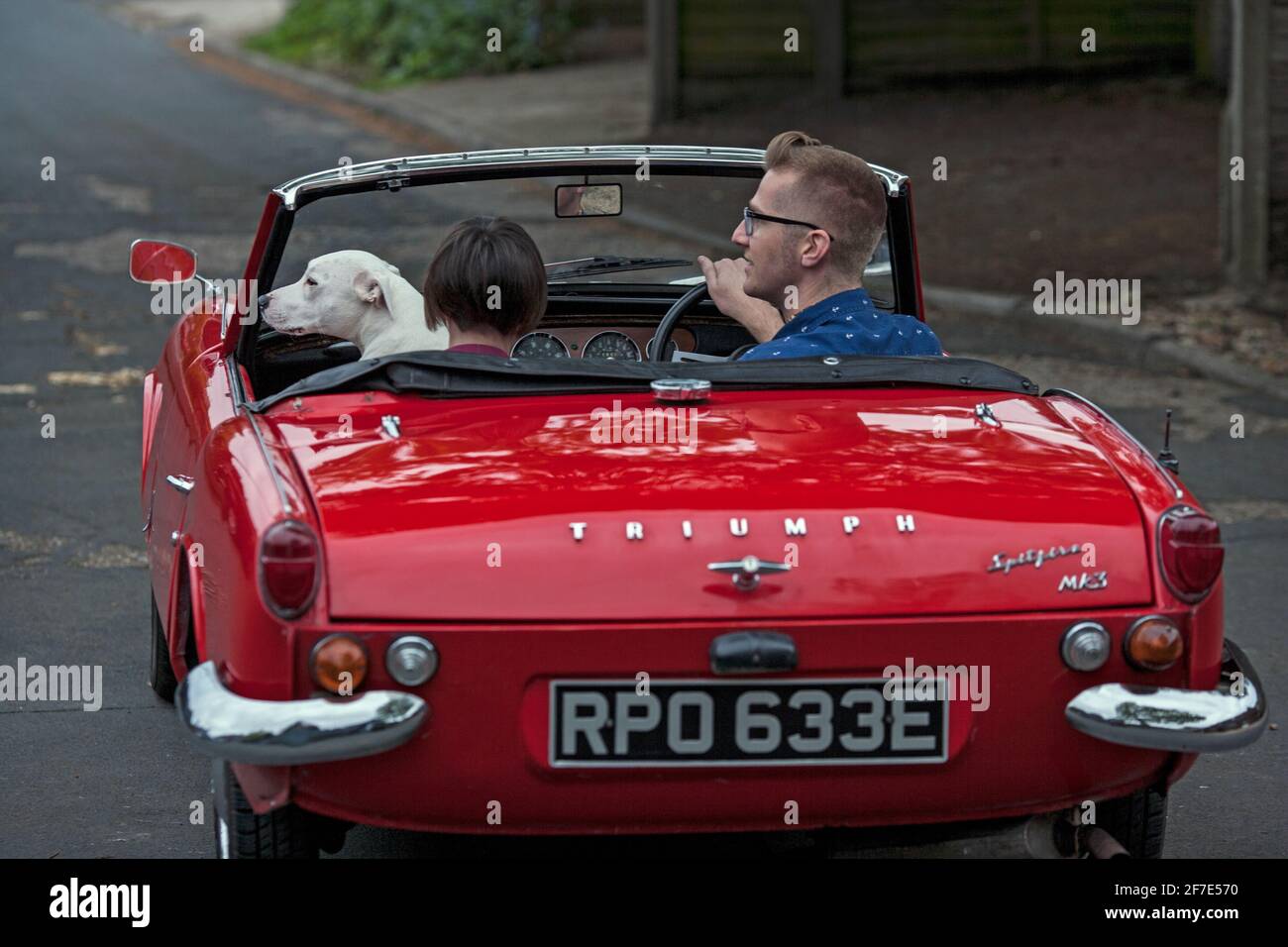 GRANDE-BRETAGNE / Angleterre / couple avec chien conduite dans voiture classique cabriolet .Triumph Spitfire Mark III 1967, Banque D'Images