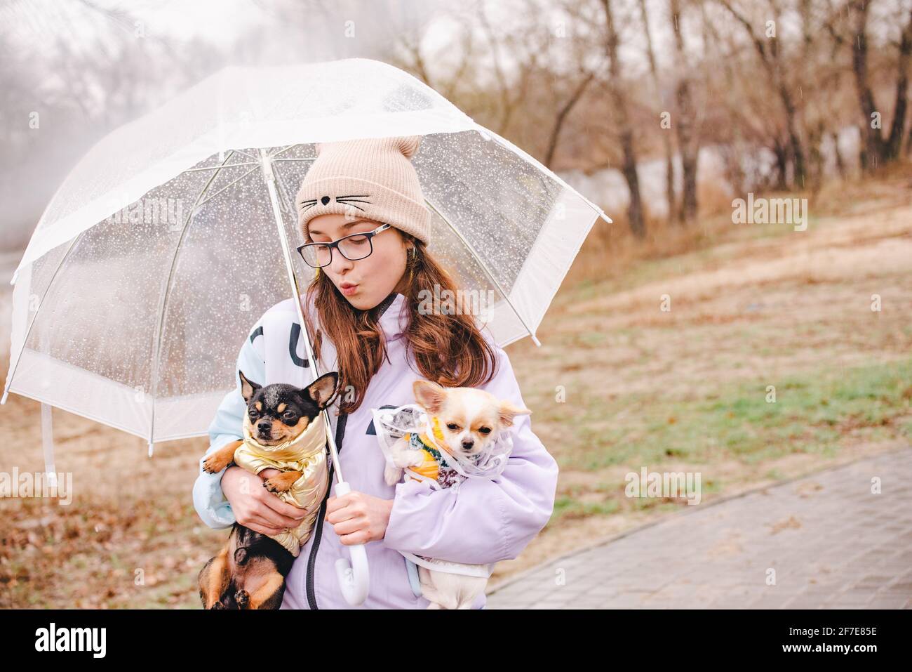 Jolie fille avec deux chiens chihuahua sur la nature. Une adolescente et deux chiens habillés de petites races par temps pluvieux sous un parapluie. Chiot et chien adulte Banque D'Images