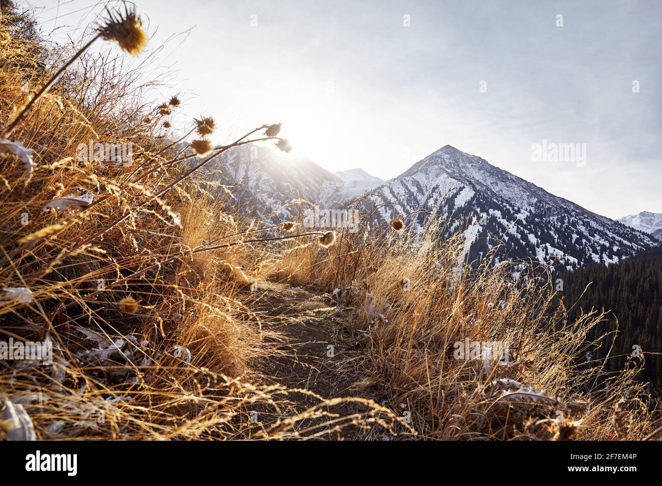 Magnifique paysage de la montagne sommet avec neige à Almaty, Kazakhstan. Concept de randonnée et de plein air Banque D'Images