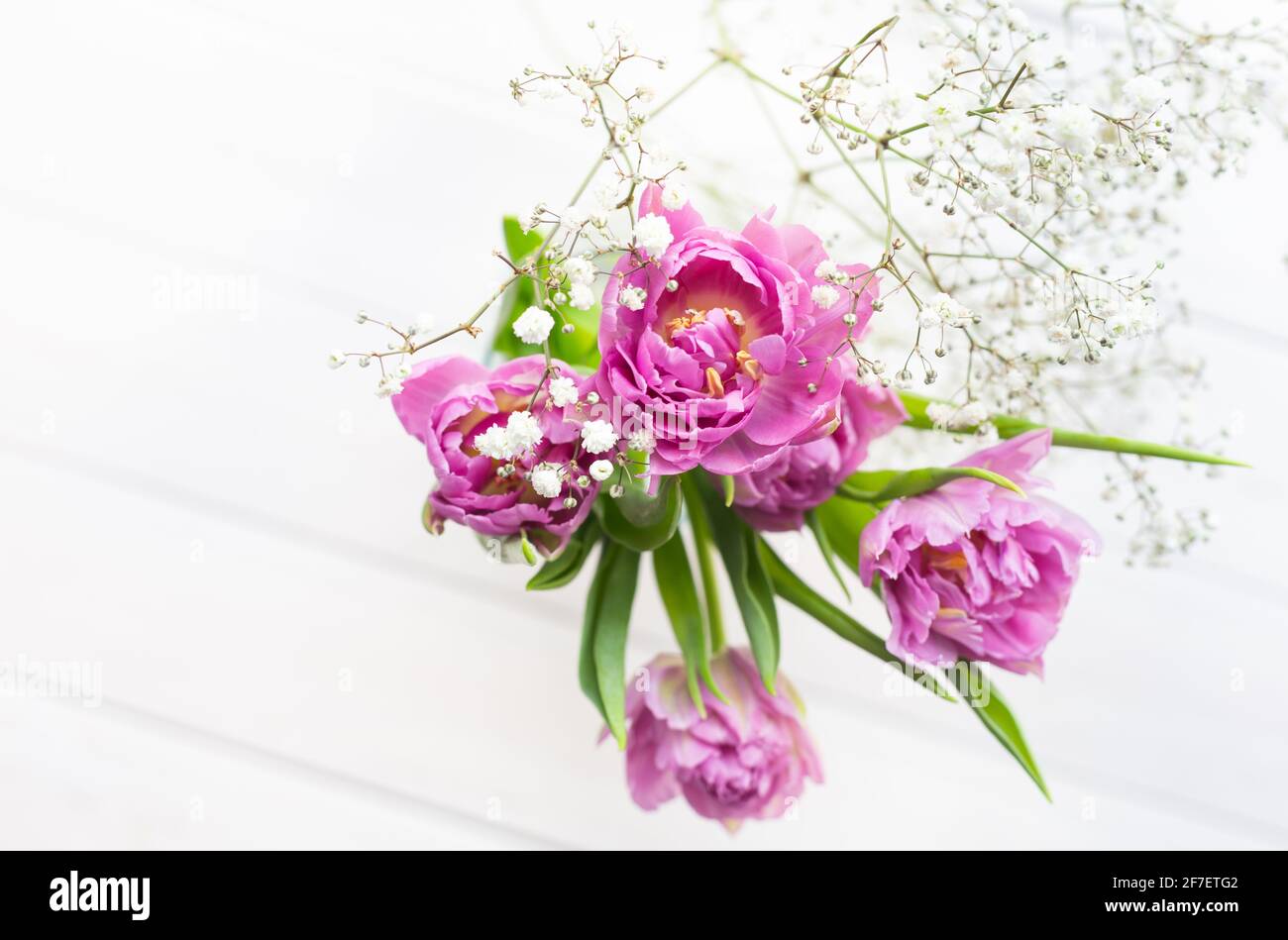 Romantique bouquet délicat de tulipes roses et de sophila sur fond blanc, vue de dessus. Banque D'Images