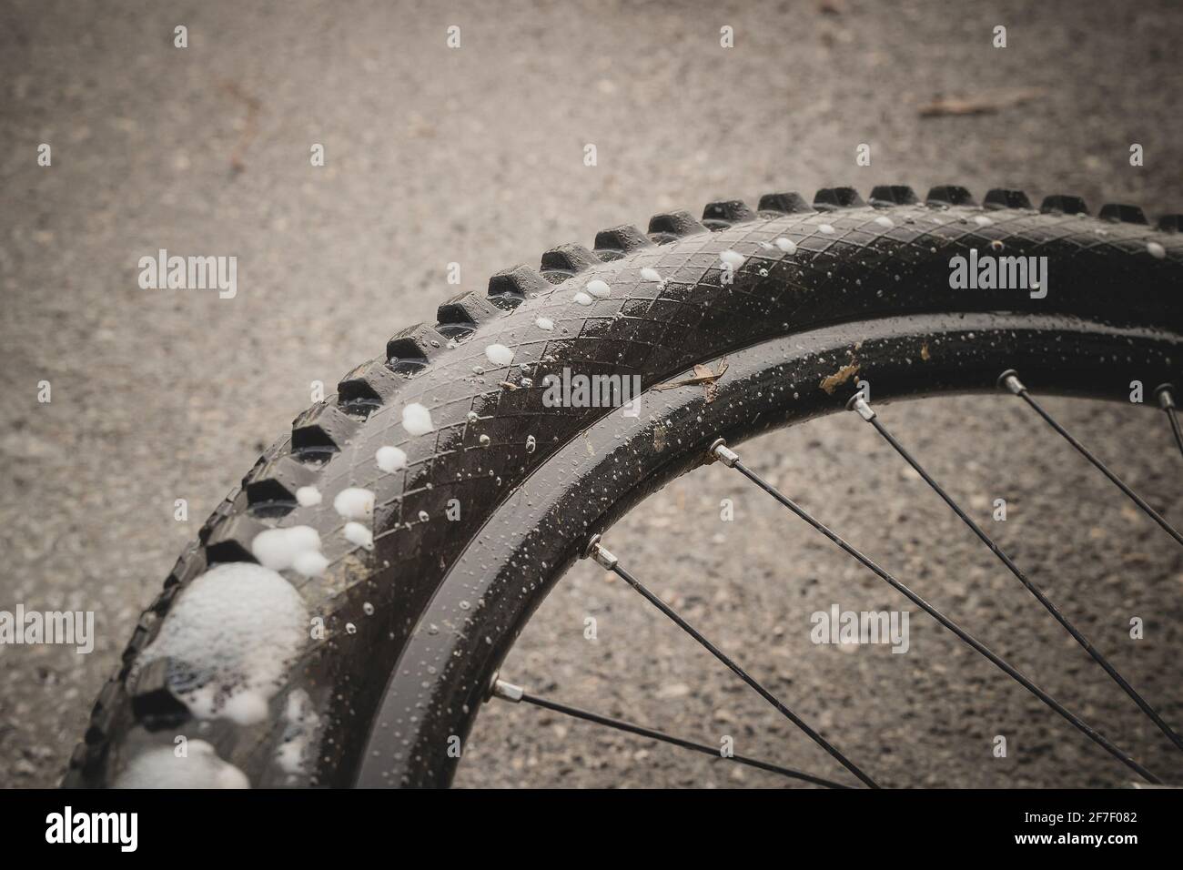 Pneu de vélo tout terrain perforé ou crevé, avec mousse visible s'échappant  par les trous perforés. Système sans chambre à air sur un mur de pneus de  vélo d'étanchéité Photo Stock 