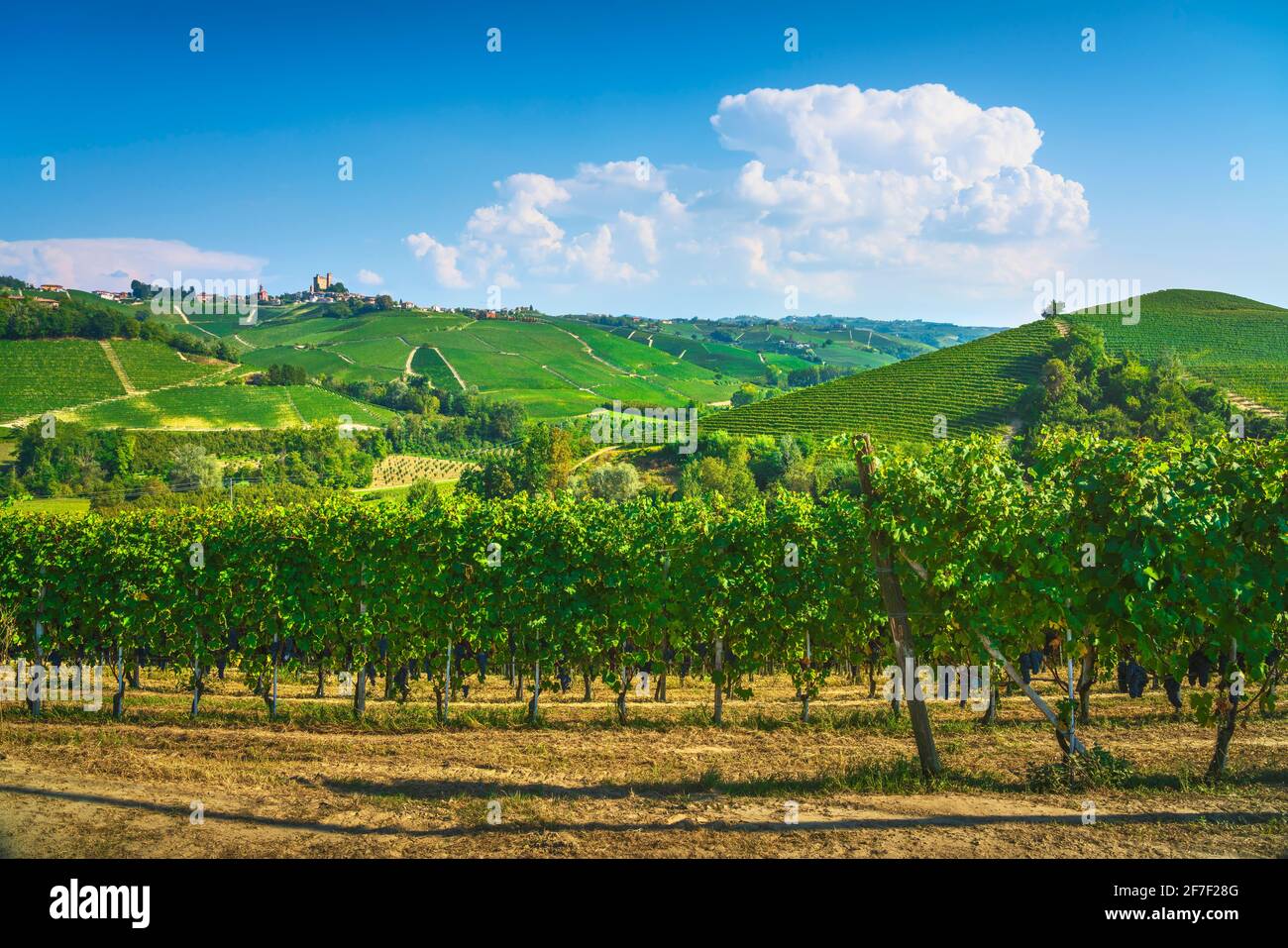 Panorama des vignobles de Langhe, Serralunga d Alba, site de l'UNESCO, Piémont, Nord de l'Italie Europe. Banque D'Images