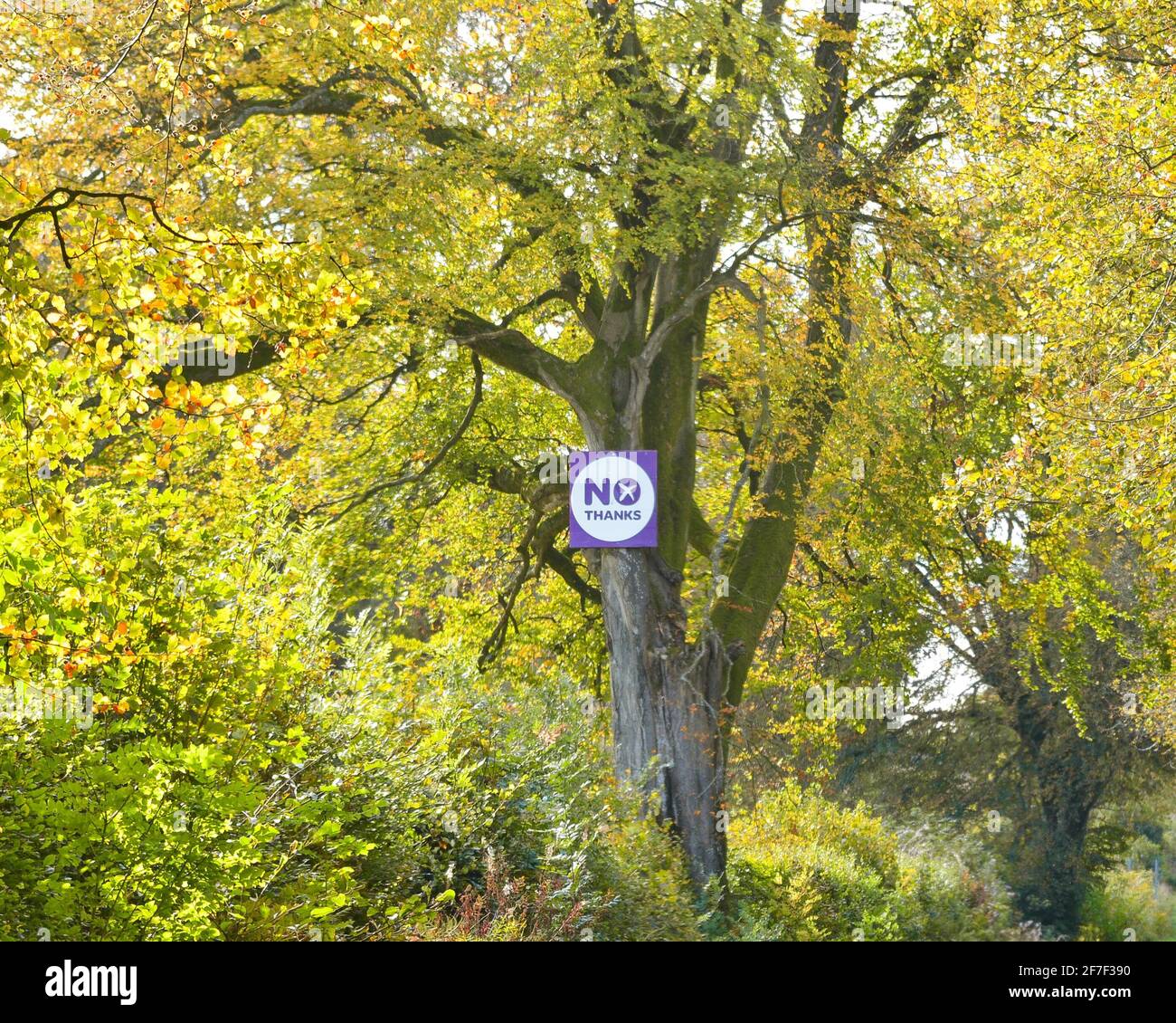 Non Thanks Sign fait partie de la campagne Better Together lors du référendum sur l'indépendance de l'Écosse en 2014, Stirling, Écosse, Royaume-Uni Banque D'Images