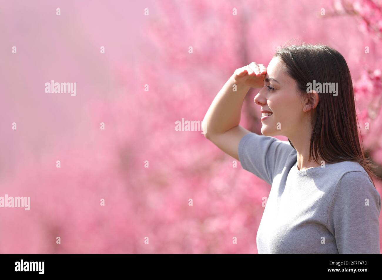 Vue latérale d'une femme heureuse cherchant à regarder loin protéger du soleil avec sa main dans un rose fleuri champ Banque D'Images