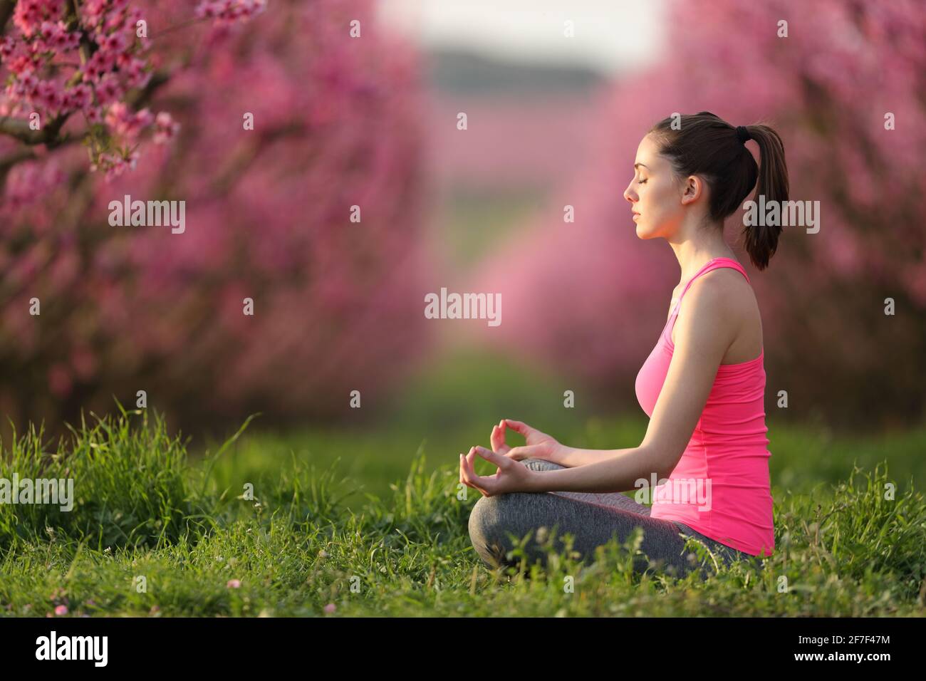 Profil d'un yogi concentré en rose faisant de l'exercice de yoga dans un champ au coucher du soleil Banque D'Images