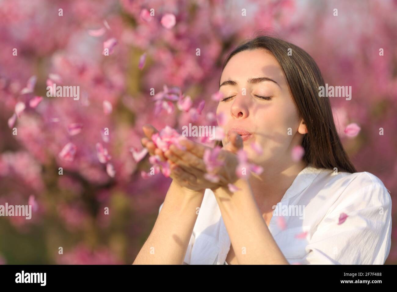 Belle femme soufflant des pétales de fleur de ses mains au printemps dans un champ rose Banque D'Images