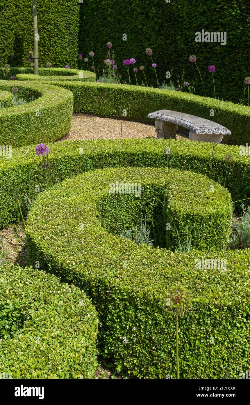 Houghton Hall Gardens en été, Norfolk, Royaume-Uni ; haies de boîtes soigneusement coupées dans le jardin clos Banque D'Images