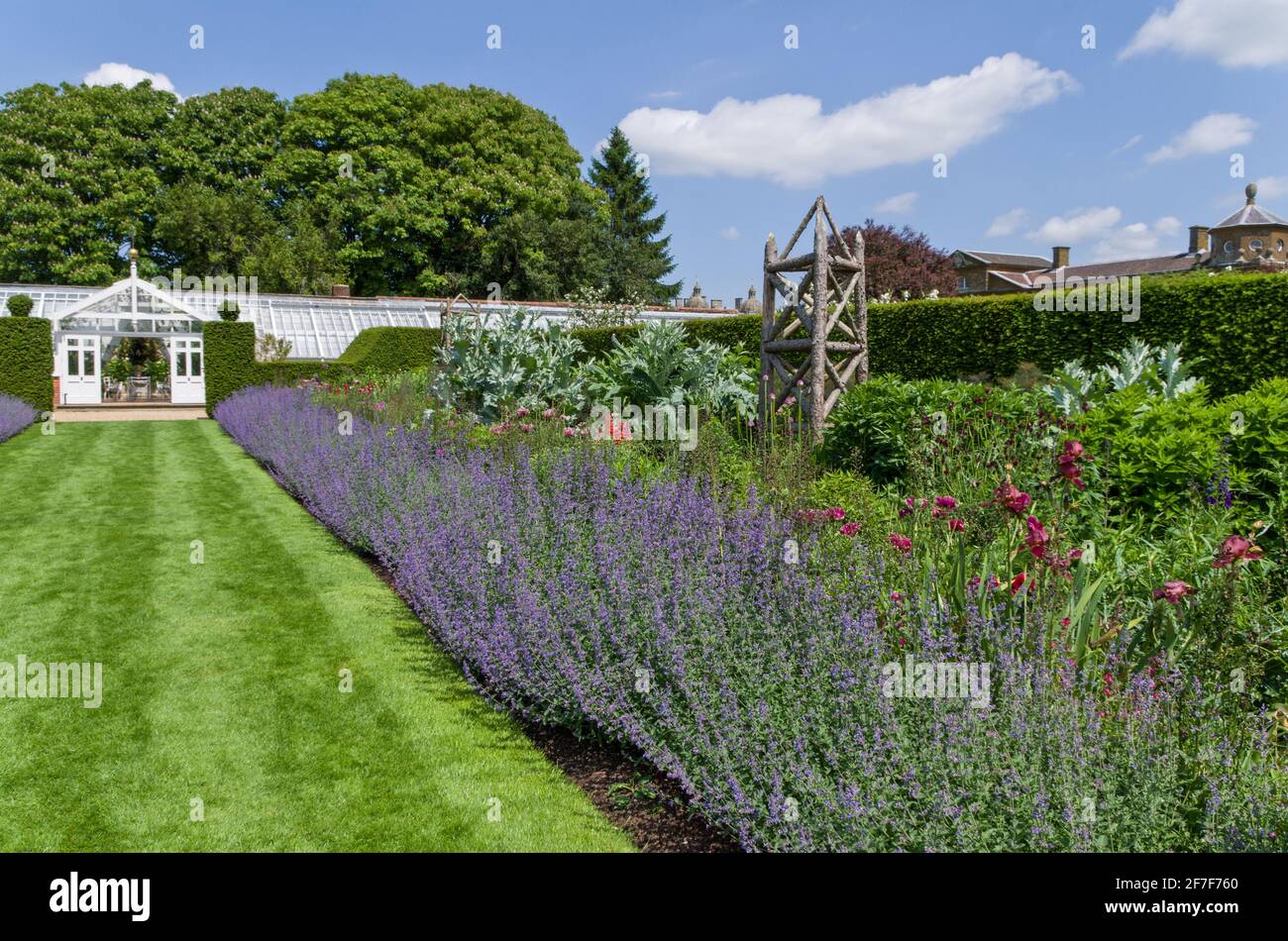 Houghton Hall Gardens en été, Norfolk, Royaume-Uni; frontière herbacée menant à la serre dans le jardin clos Banque D'Images