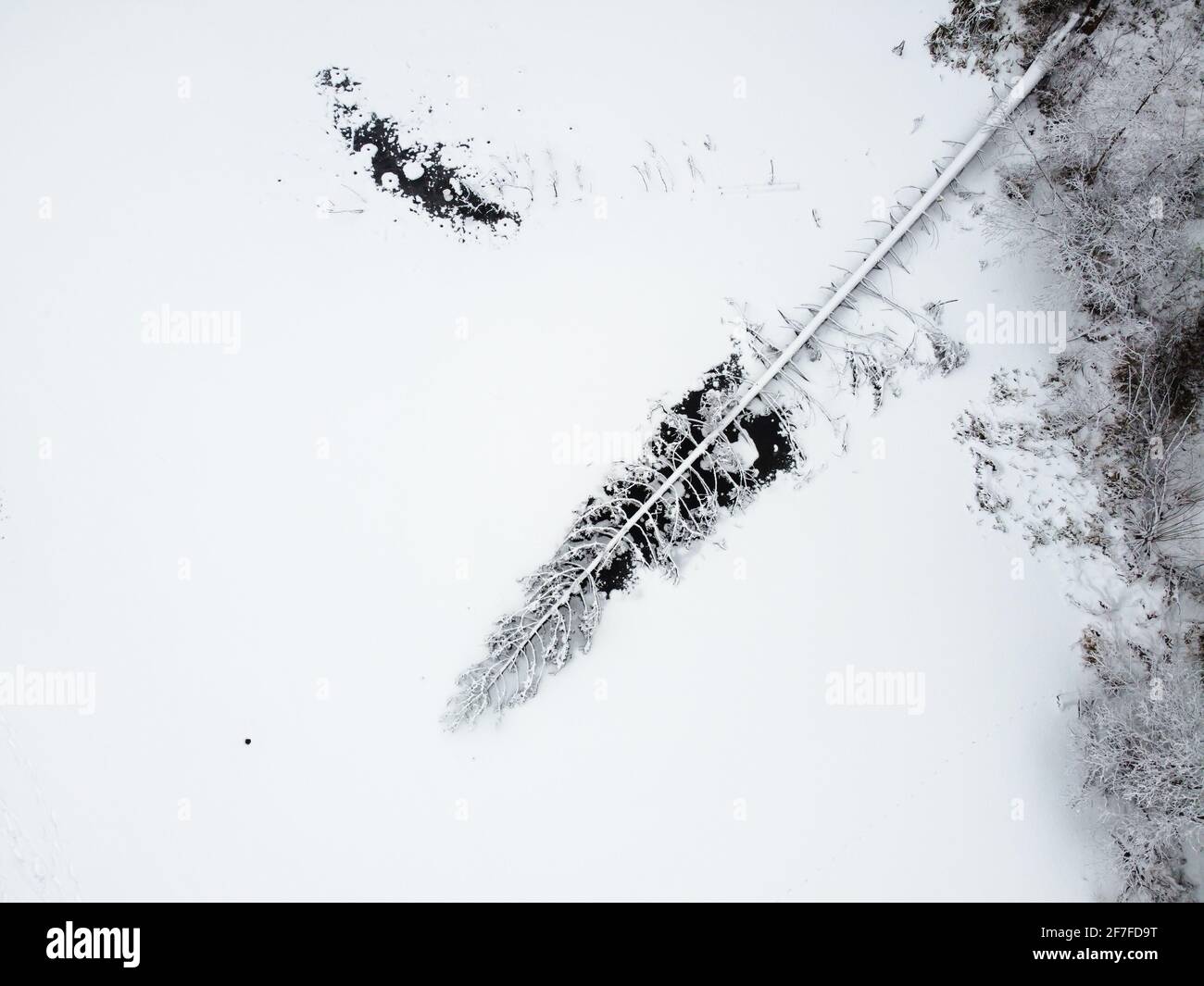 Forêt d'hiver avec arbres enneigés, vue aérienne. Nature hivernale, paysage aérien avec rivière gelée, arbres couverts de neige blanche Banque D'Images