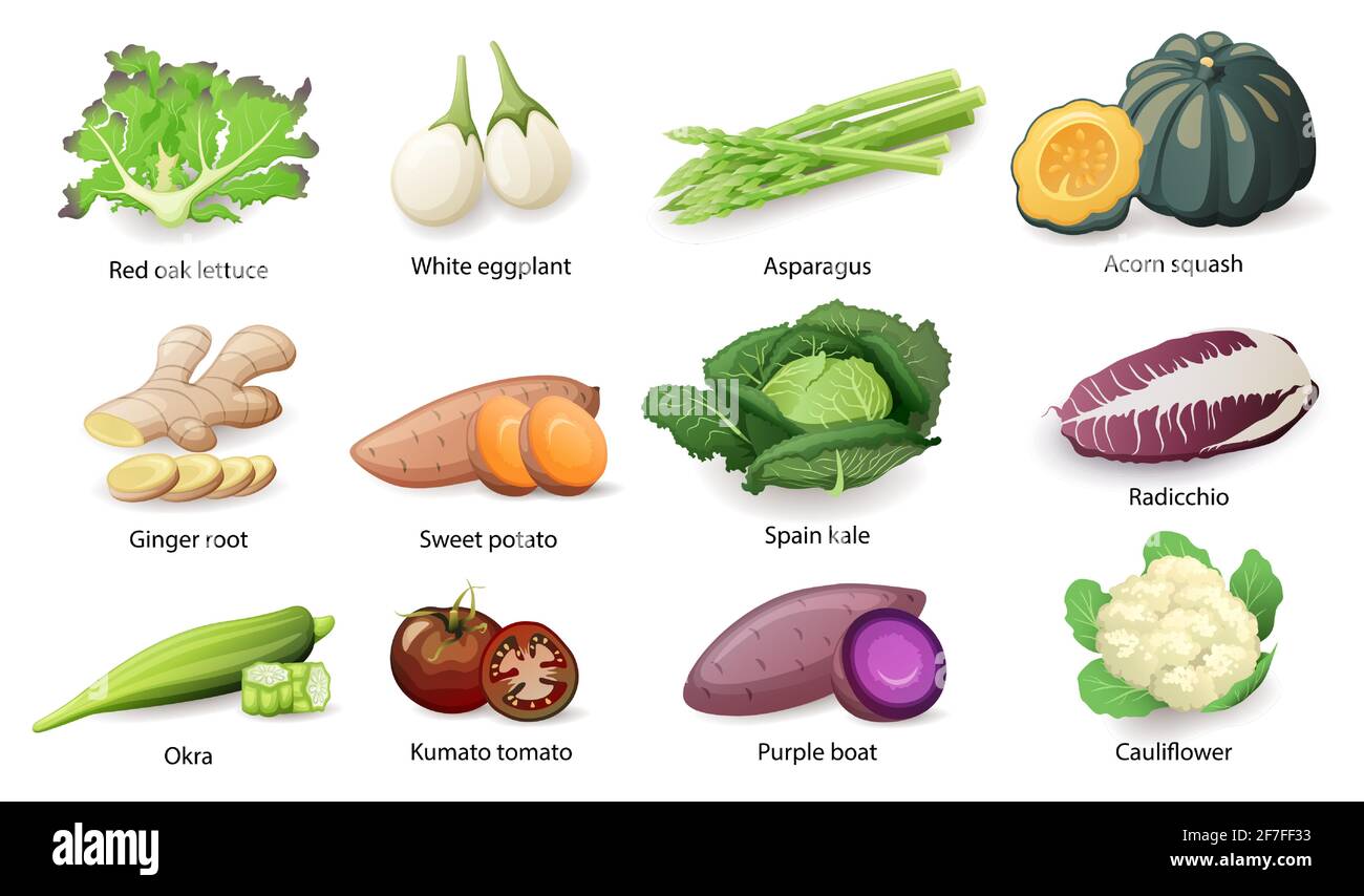 Légumes avec jeu de titres de légende, illustration vectorielle plate. Illustration de Vecteur
