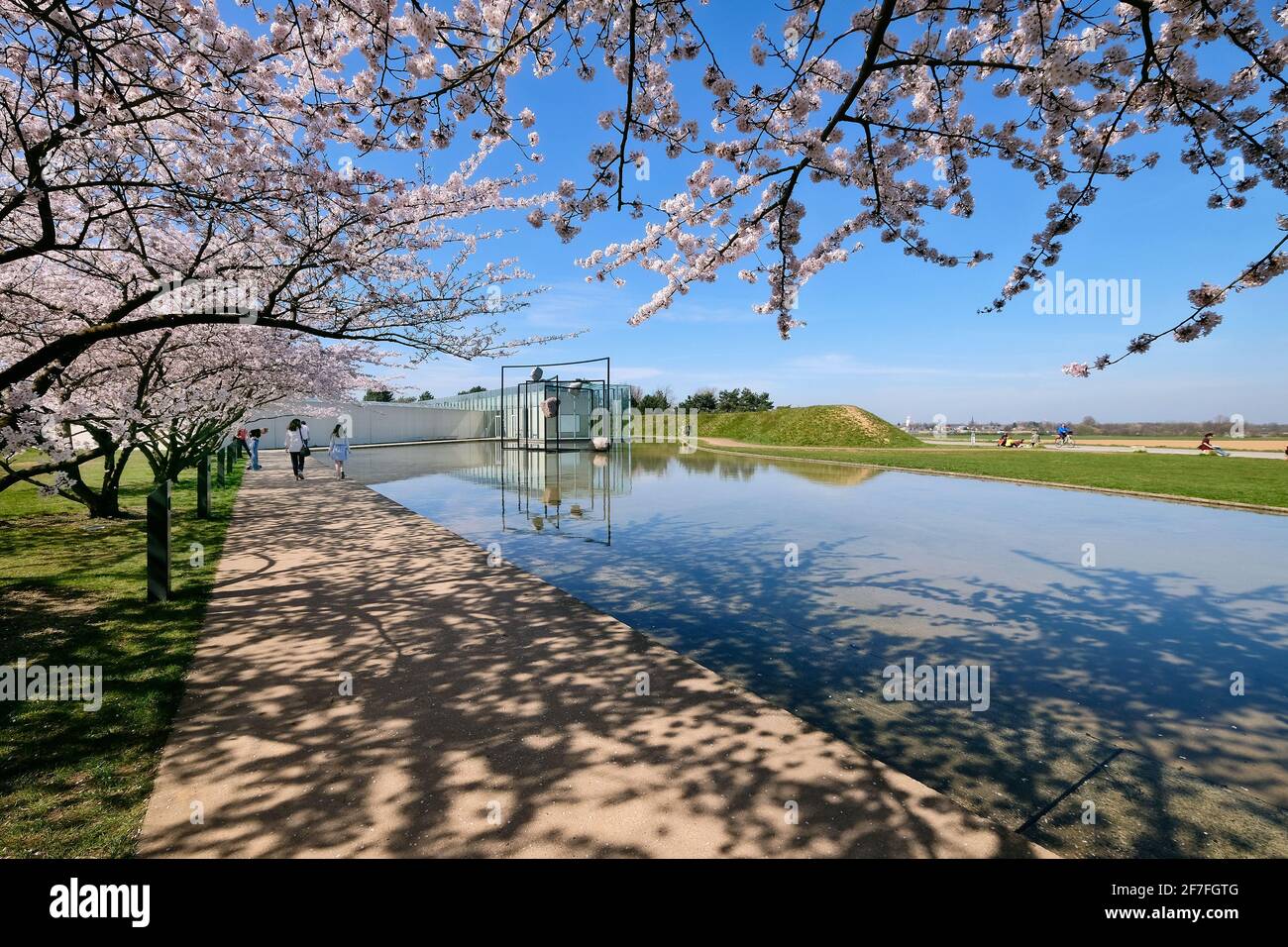 Cerisiers en fleurs sur le terrain de la Fondation Langen avec Le bâtiment d'exposition conçu par l'architecte Tadao Ando et A. Sculpture de l'artiste polonais Banque D'Images