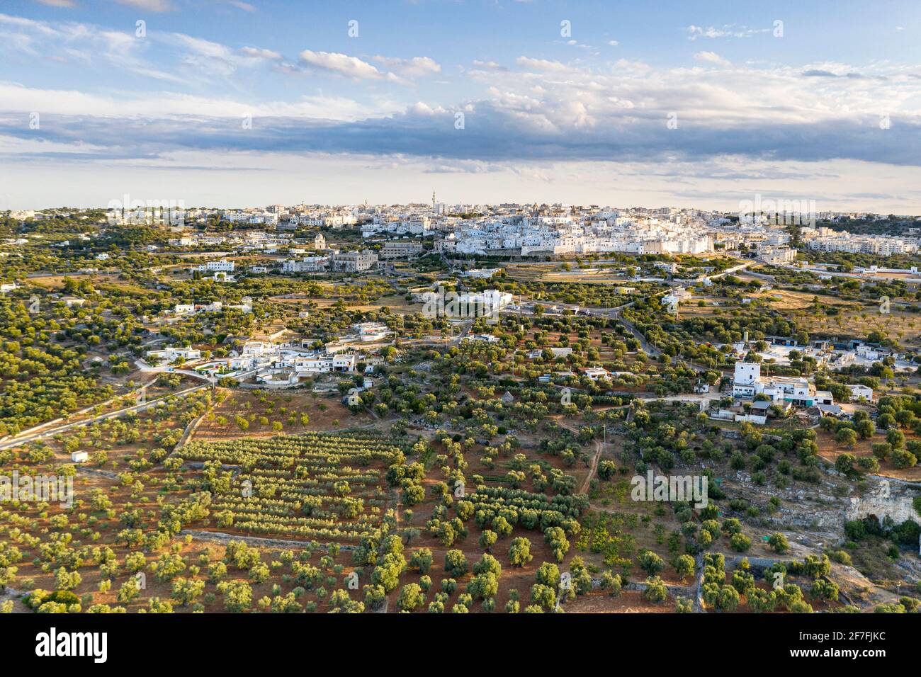 Vue aérienne de la vieille ville d'Ostuni entourée d'oliveraies, province de Brindisi, Salento, Apulia, Italie, Europe Banque D'Images