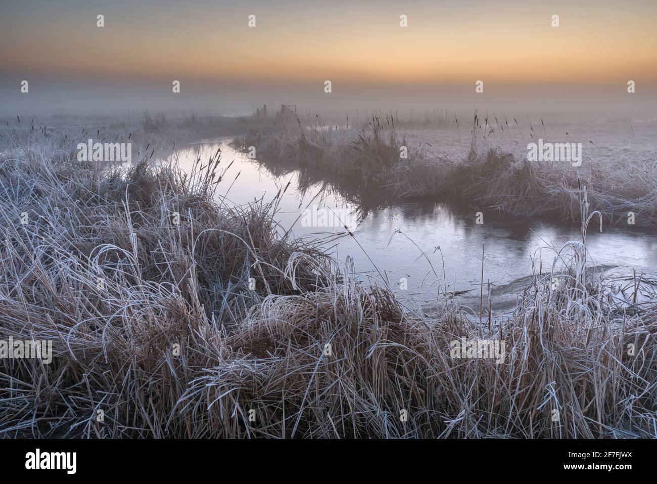 Fossé inondé et gel sur le marais de pâturage côtier, Réserve naturelle nationale d'Elmley, île de Shepey, Kent, Angleterre, Royaume-Uni, Europe Banque D'Images