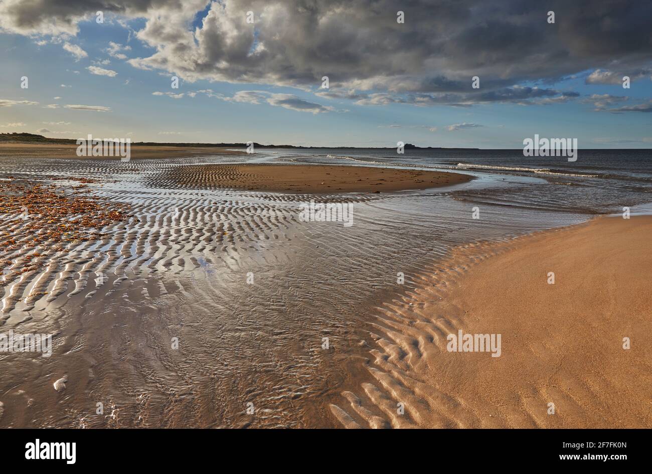 Ross Back Sands, près de Lindisfarne, sur la côte de la mer du Nord de Northumberland, au nord-est de l'Angleterre, au Royaume-Uni, en Europe Banque D'Images