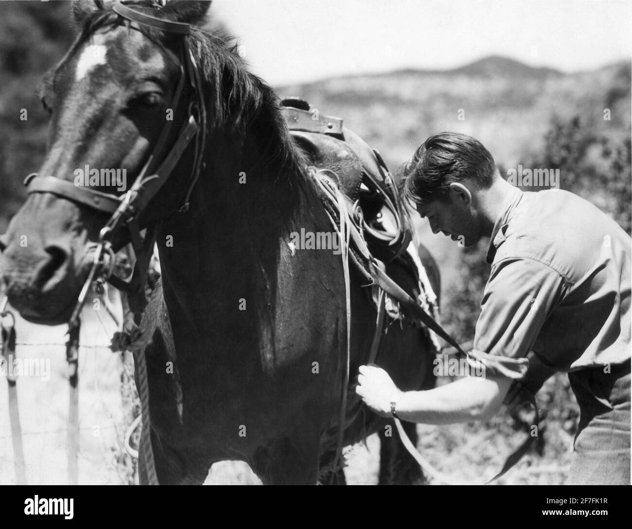 CLARK PIGNON 1931 Candide publicité photo préparer son cheval pour Une expédition de chasse au cerf dans les montagnes publicité pour Metro Goldwyn Mayer Banque D'Images