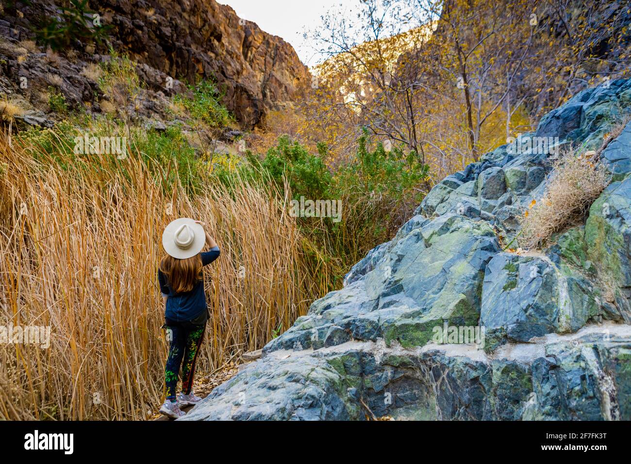 Femme en randonnée à travers la cascade et Artist Palette Drive, Death Valley, Californie, États-Unis d'Amérique, Amérique du Nord Banque D'Images