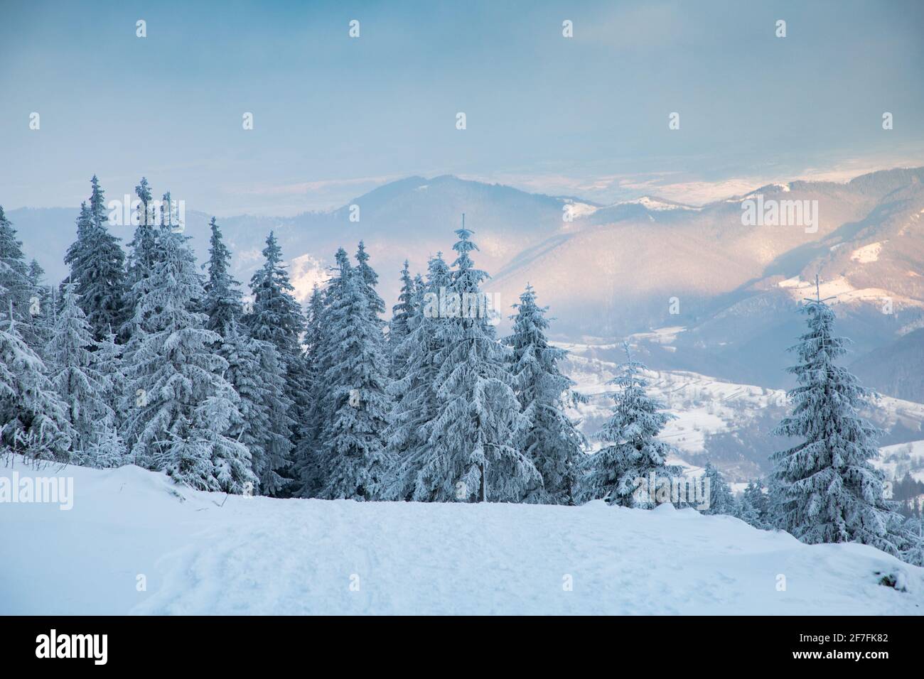 Beau paysage d'hiver dans les montagnes de Vladeasa, Transylvanie, Roumanie, Europe Banque D'Images