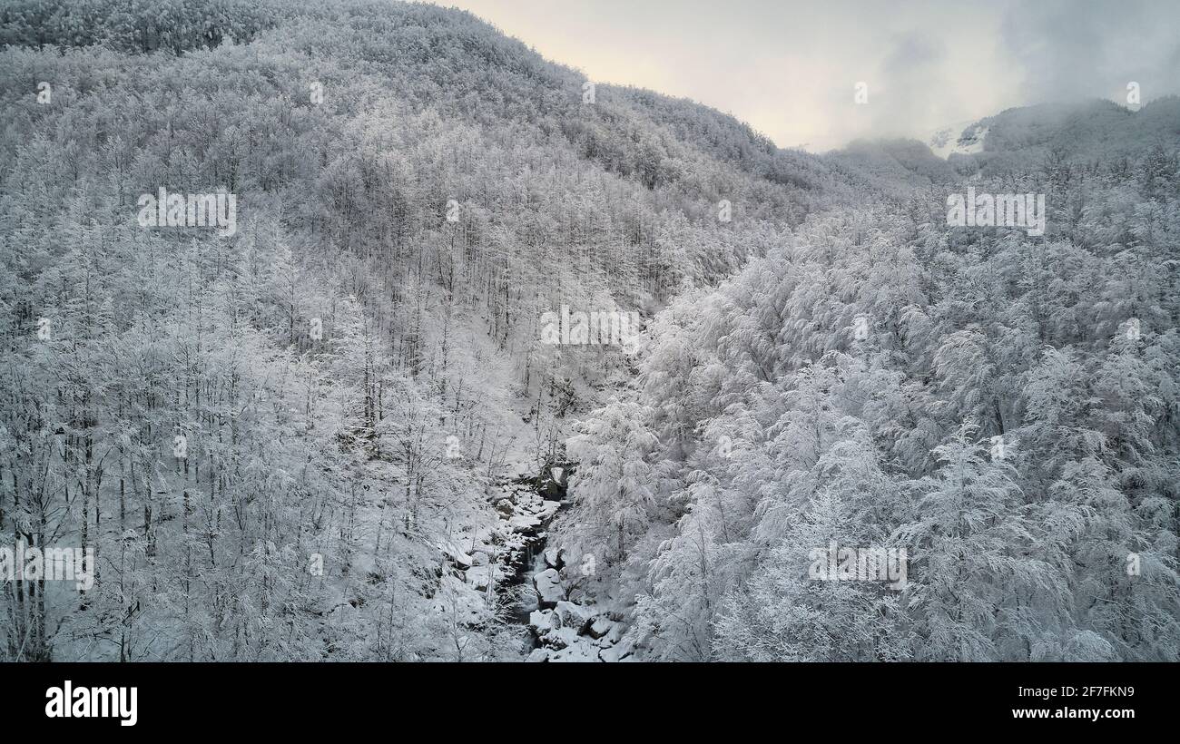 Forêt de hêtres couverte de neige dans un paysage d'hiver immaculé, Parco Regionale del Corno Alle Scale, Emilia Romagna, Italie, Europe Banque D'Images