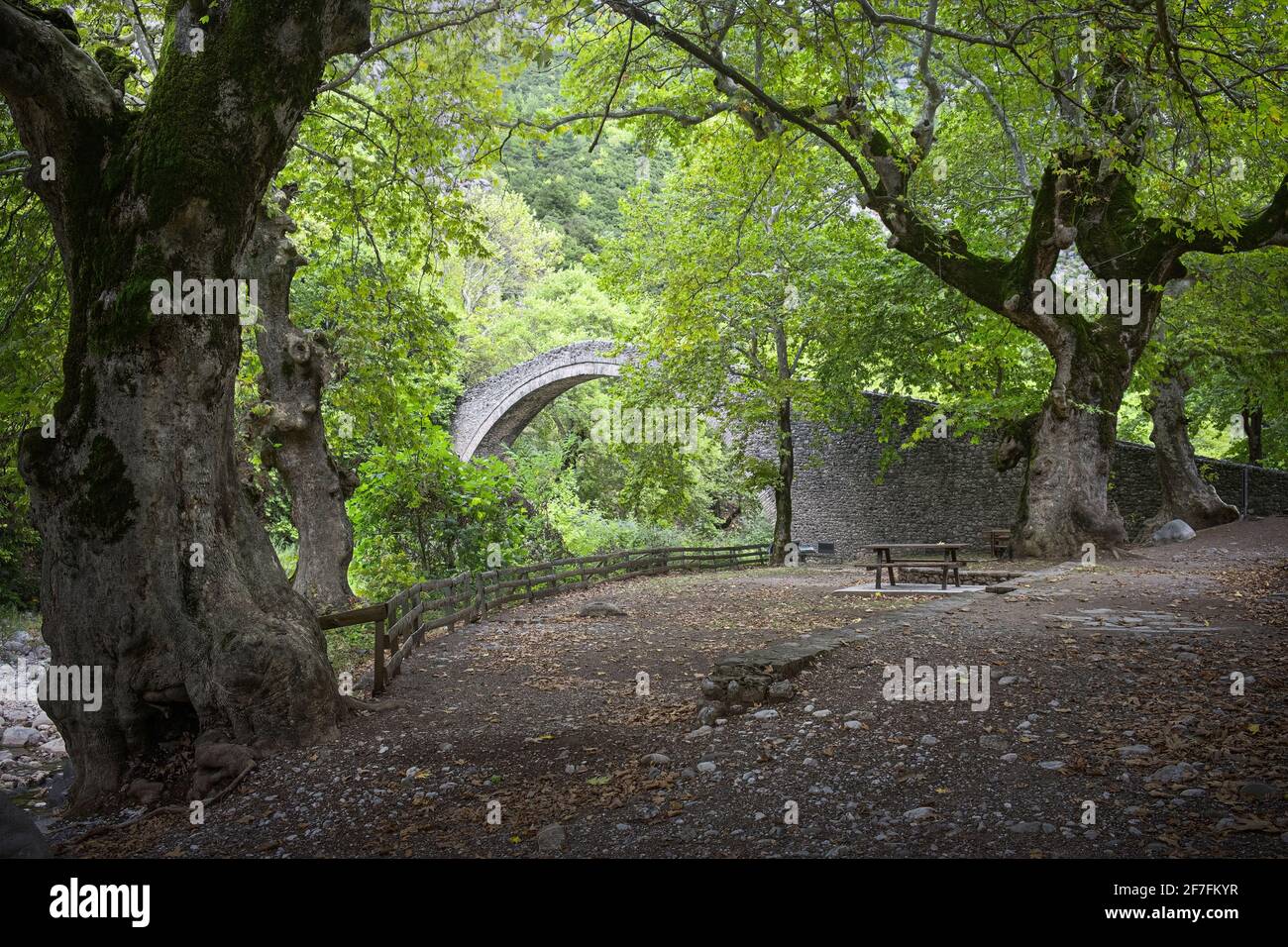 Pont et arbres anciens, Thessalie, Grèce, Europe Banque D'Images Pont et arbres anciens, Thessalie, Grèce, Europe Banque D'Images