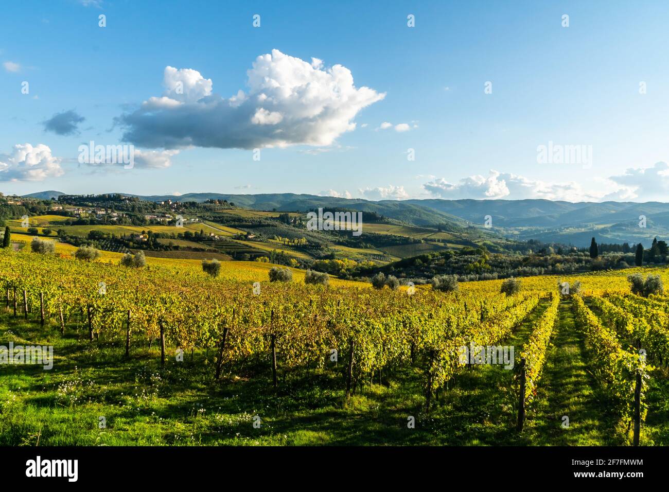 Vue sur la vallée de Panzano in Chianti, lignes de vignes à motifs, cyprès et oliviers avec fermes, Toscane, Italie, Europe Banque D'Images