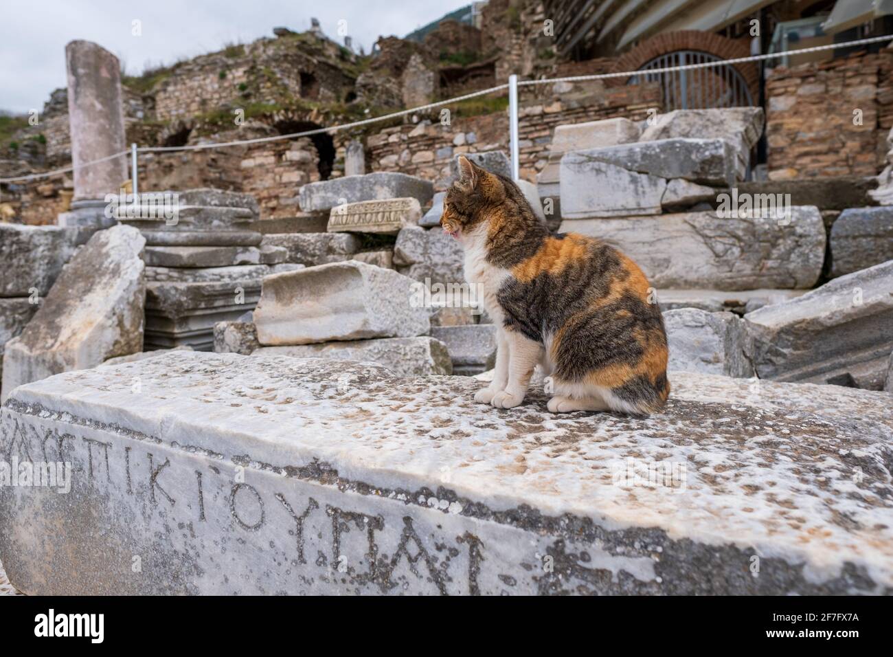 Texte Grec Ancien Banque D Image Et Photos Alamy