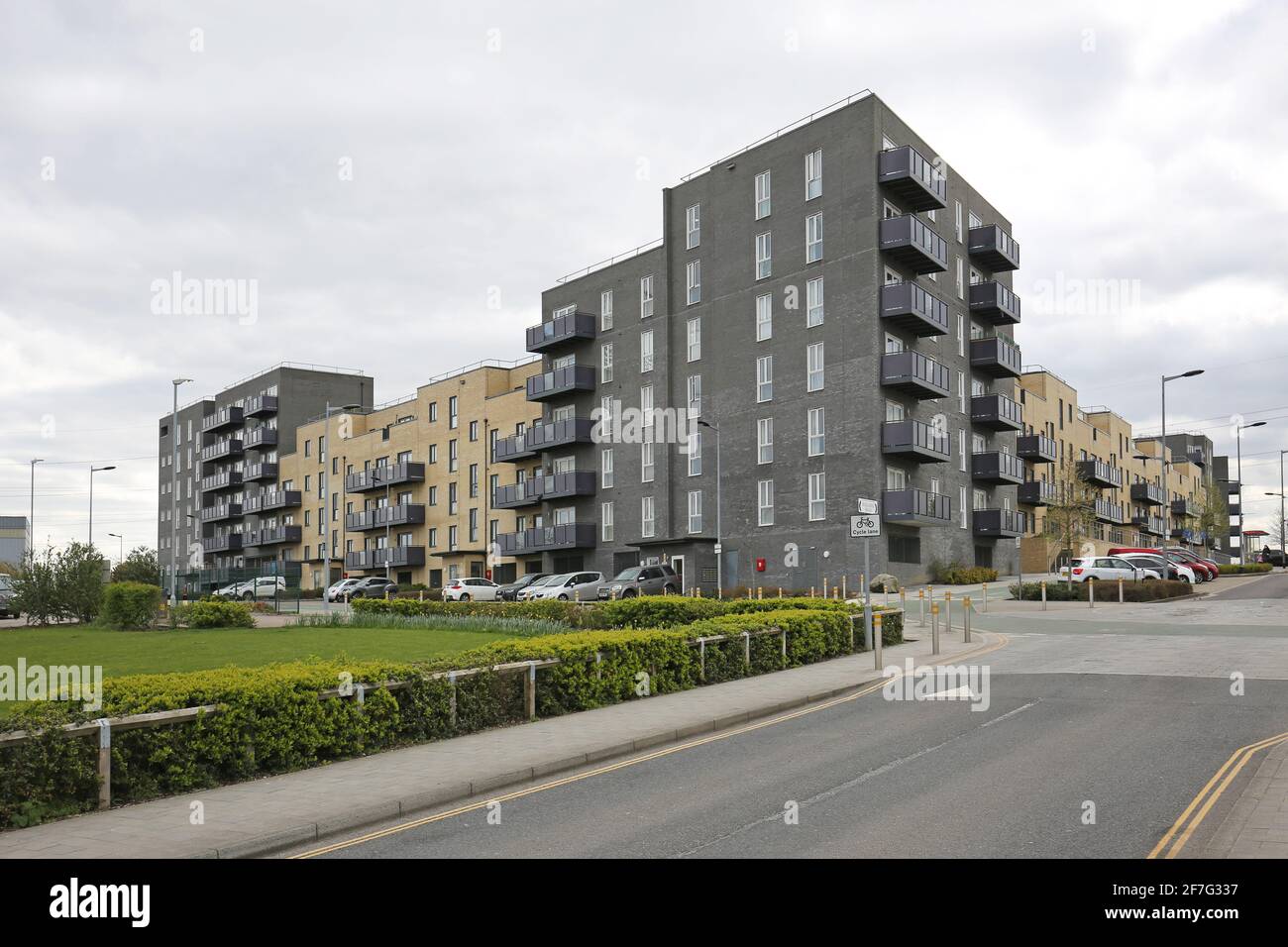 De nouveaux immeubles sur Mallards Road, une partie de l'immense nouveau Barking Riverside Development, à la périphérie est de Londres, au Royaume-Uni Banque D'Images