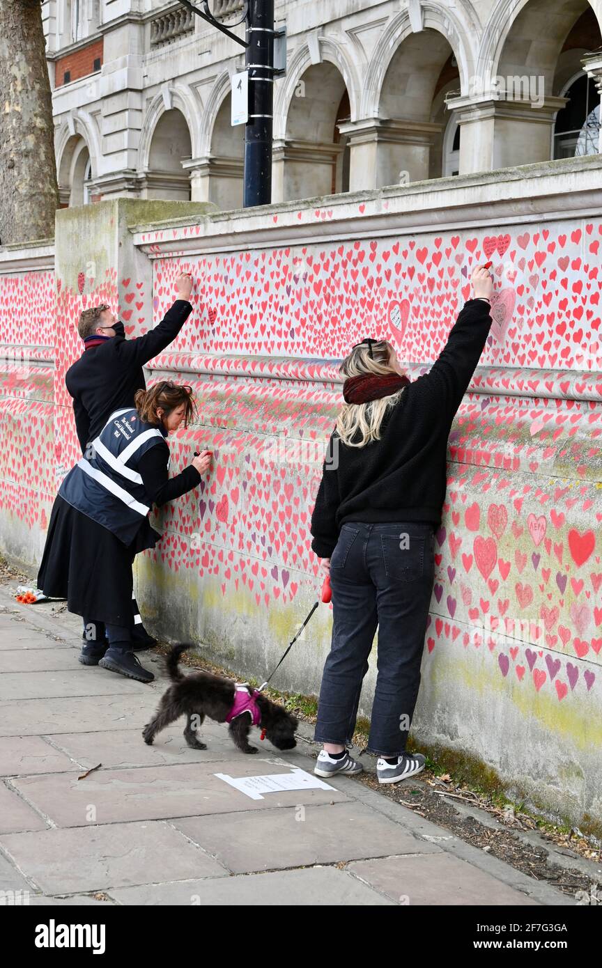 Londres. ROYAUME-UNI. Des coeurs continuent d'être ajoutés au mur commémoratif national du Covid à l'hôpital St. Thomas de Westminster, à la mémoire de ceux qui sont morts du coronavirus pendant la pandémie. Banque D'Images