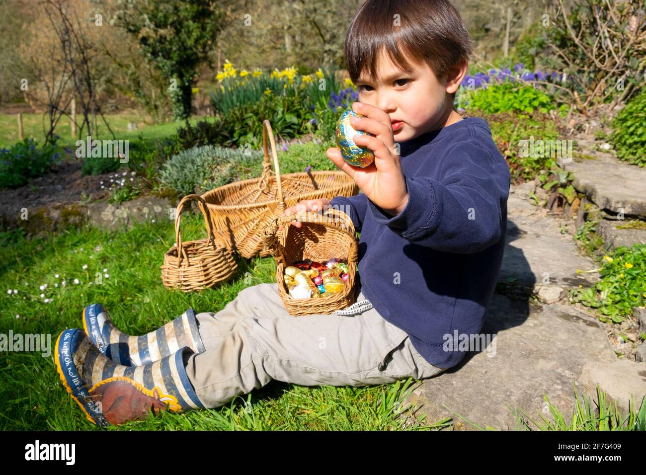 Enfant jeune garçon assis dans le jardin après la chasse aux œufs de Pâques Avec panier d'œufs de Pâques contenant de gros œufs de chocolat Dans sa main pays de Galles Royaume-Uni KATHY DEWITT Banque D'Images