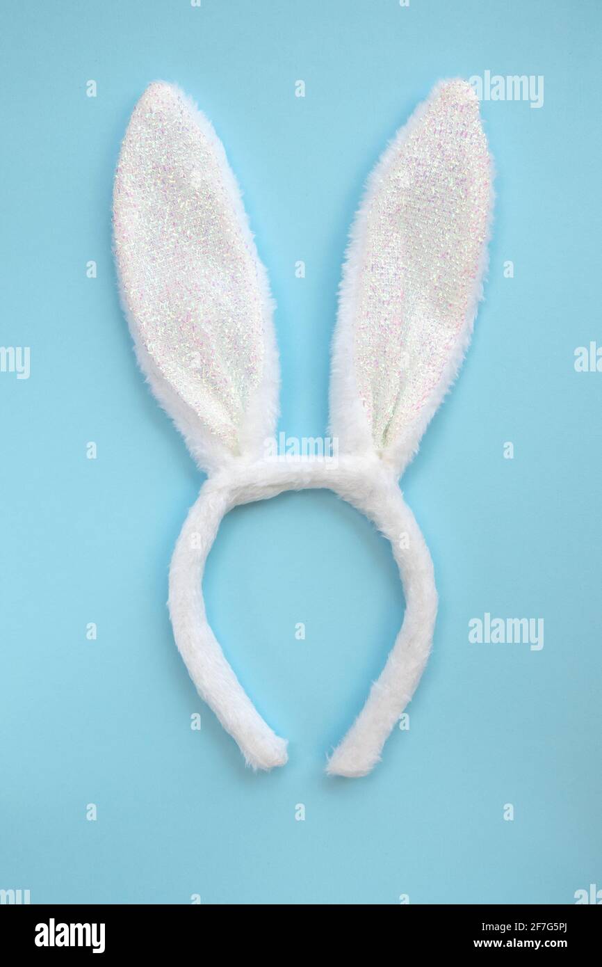 Oreilles de lapin de costume. Oreilles de lapin moelleuses isolées sur fond bleu, vue de dessus, plat. Banque D'Images