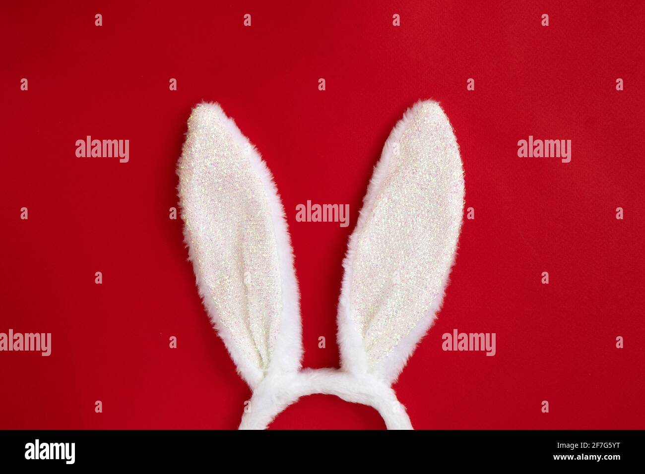 Oreilles de lapin de costume. Oreilles de lapin moelleuses isolées sur fond rouge, vue de dessus, plat. Banque D'Images