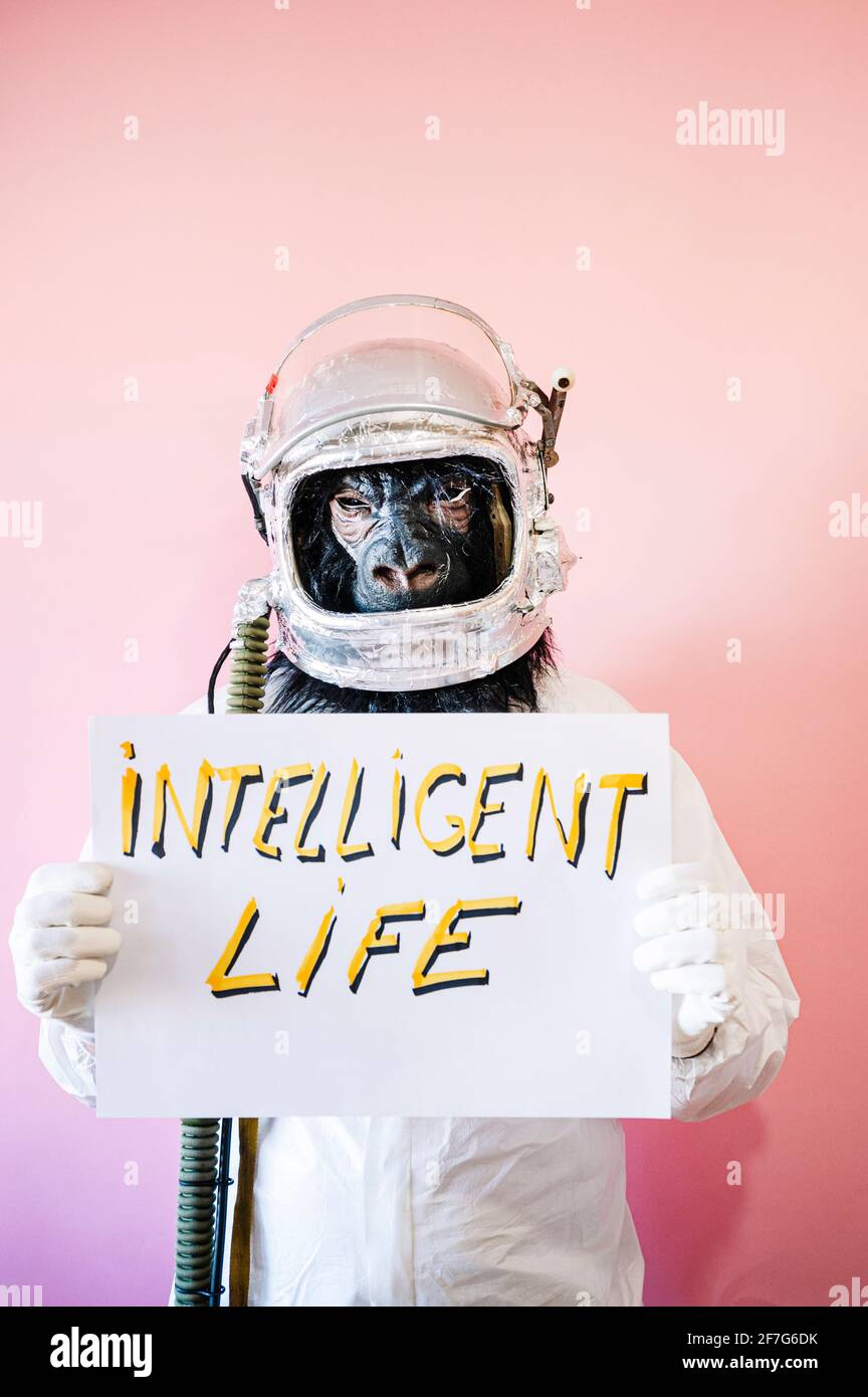 Homme dans le masque de gorille et casque d'astronaute tenant une pancarte Cela dit, LA VIE INTELLIGENTE Banque D'Images