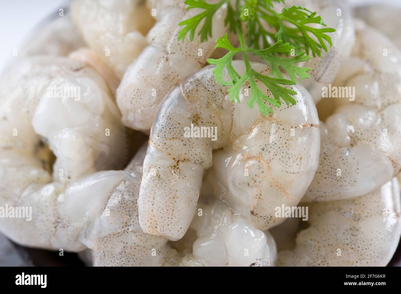 Crevettes pelées crues ou crevettes disposées en céramique noire petit pot et garni de feuilles de coriandre qui est prête pour cuisiner, placé sur une texture blanche Banque D'Images