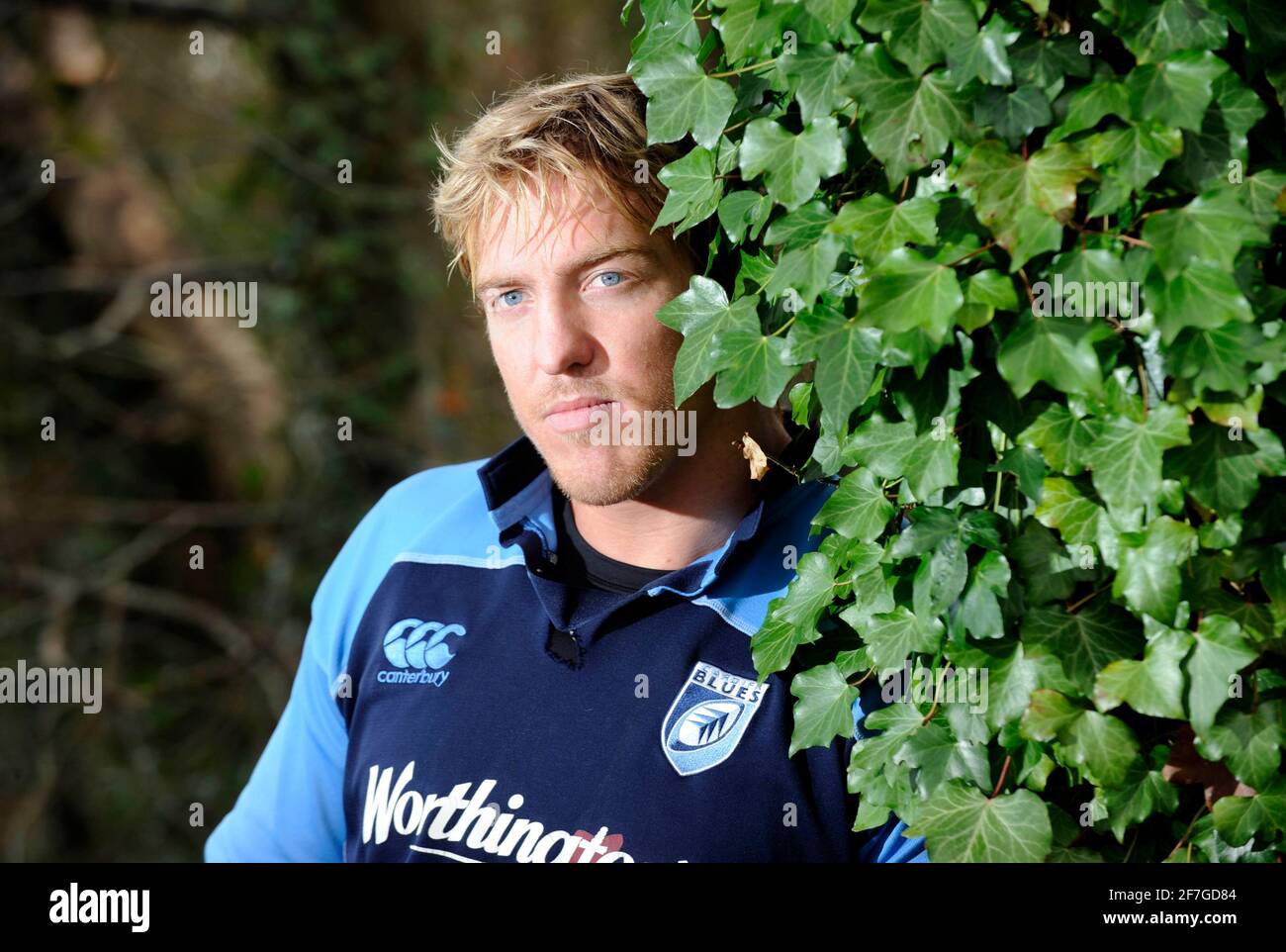 Andy Powell avec le Cardiff Blues Rugby Club. 11/12/2008. PHOTO DAVID ASHDOWN Banque D'Images