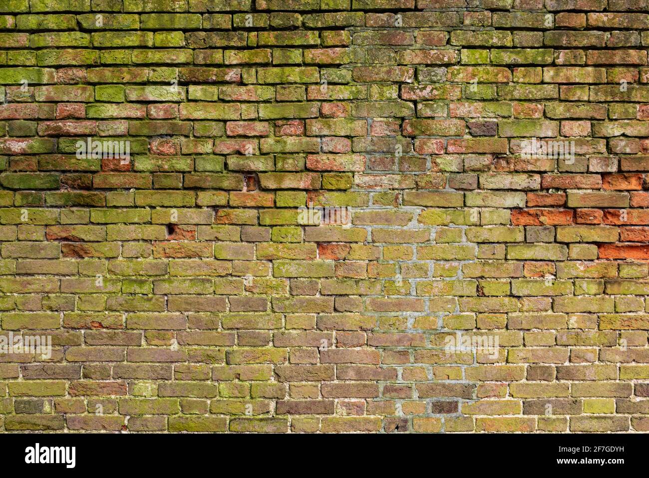 Mur de briques multicolore arrière-plan variété de briques mur de briques fait avec de vieilles briques récupérées dans un modèle régulier Banque D'Images