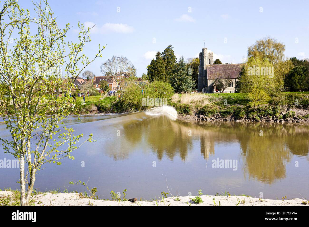 Un Severn Bore 4 étoiles qui se trouve en amont sur la rivière Severn à Minsterworth, Gloucestershire, Royaume-Uni, le 20 avril 2015 Banque D'Images