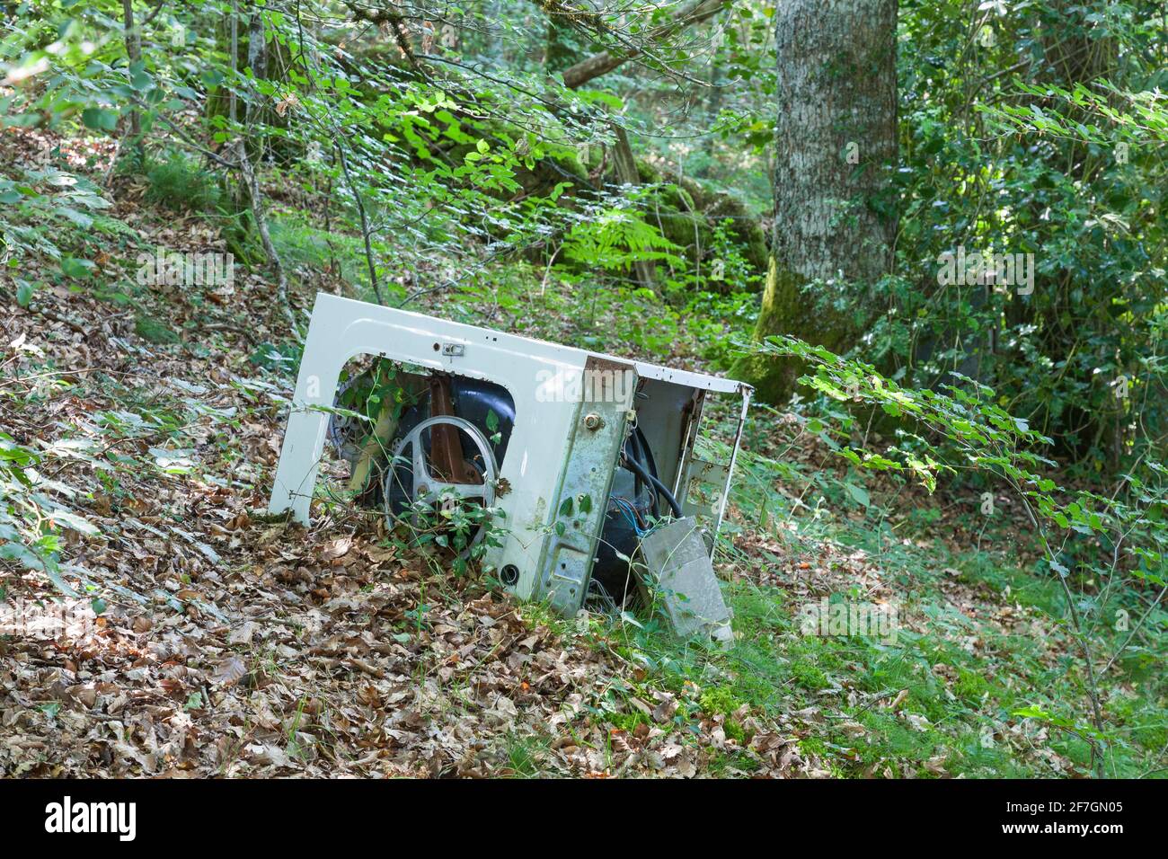 Ancien lave-linge obsolète jeté dans une forêt naturelle vierge polluer l'environnement - pourboires domestiques et pollution Banque D'Images