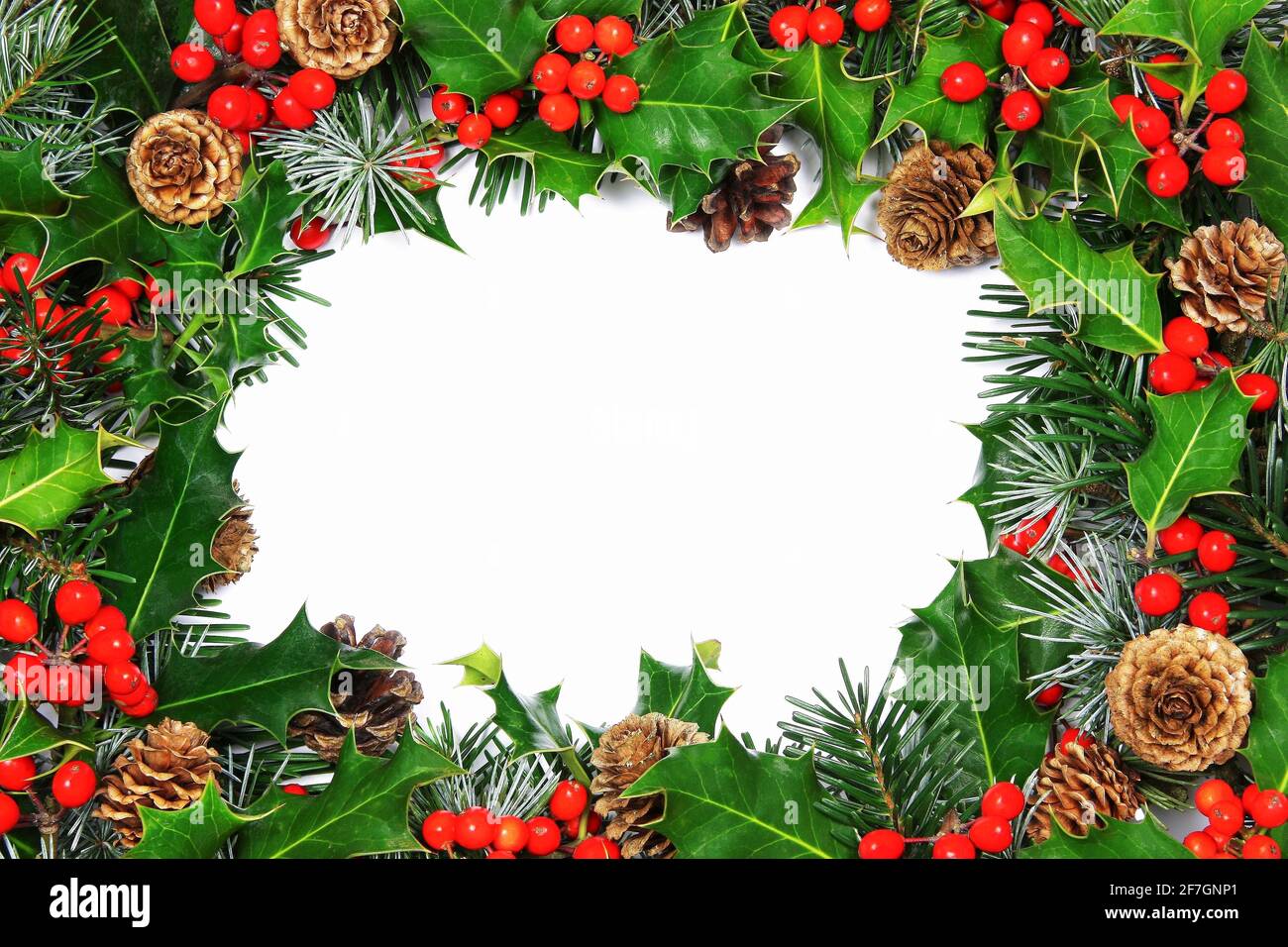 Bordure de Noël avec houx naturel, cônes et feuillage de pin autour de l'espace d'imitation central sur blanc pour vos vacances ou salutation saisonnière Banque D'Images