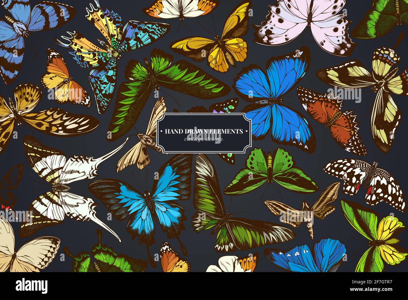 Design sur fond sombre avec une grande pointe orange, une queue d'émeraude, des reines de jungle, un tigre Uni, une aile d'oiseaux de rajah brooke, papillio torquatus Illustration de Vecteur