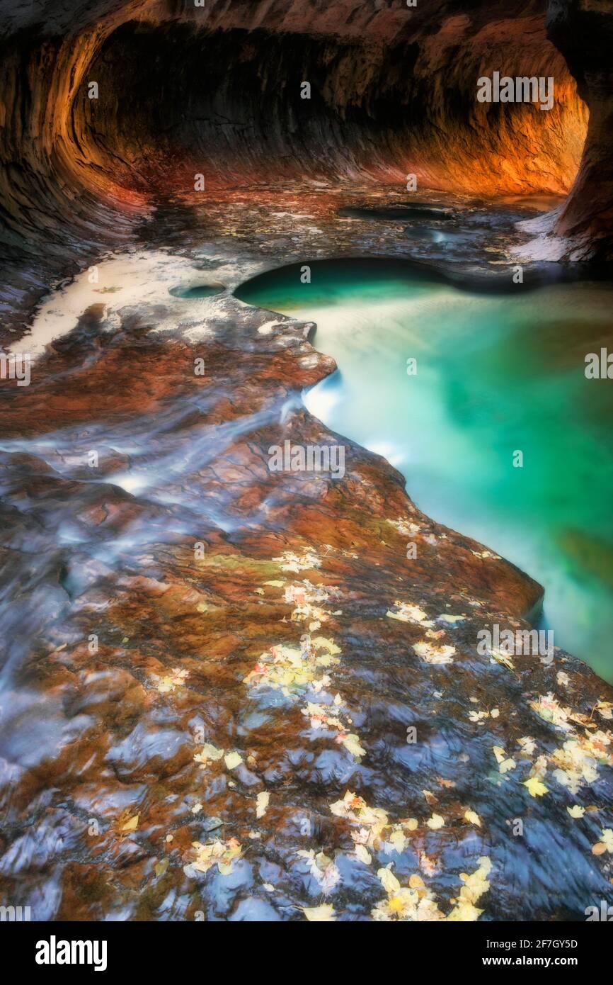 Une lumière réfléchissante illumine les parois du canyon de la fente en labyrinthe du Subway avec ses piscines émeraude dans le parc national de Zion. Banque D'Images